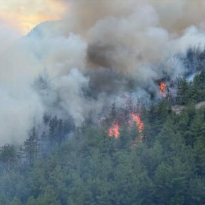 karabukte orman yangini yeniden basladi 9XGJ3V7L