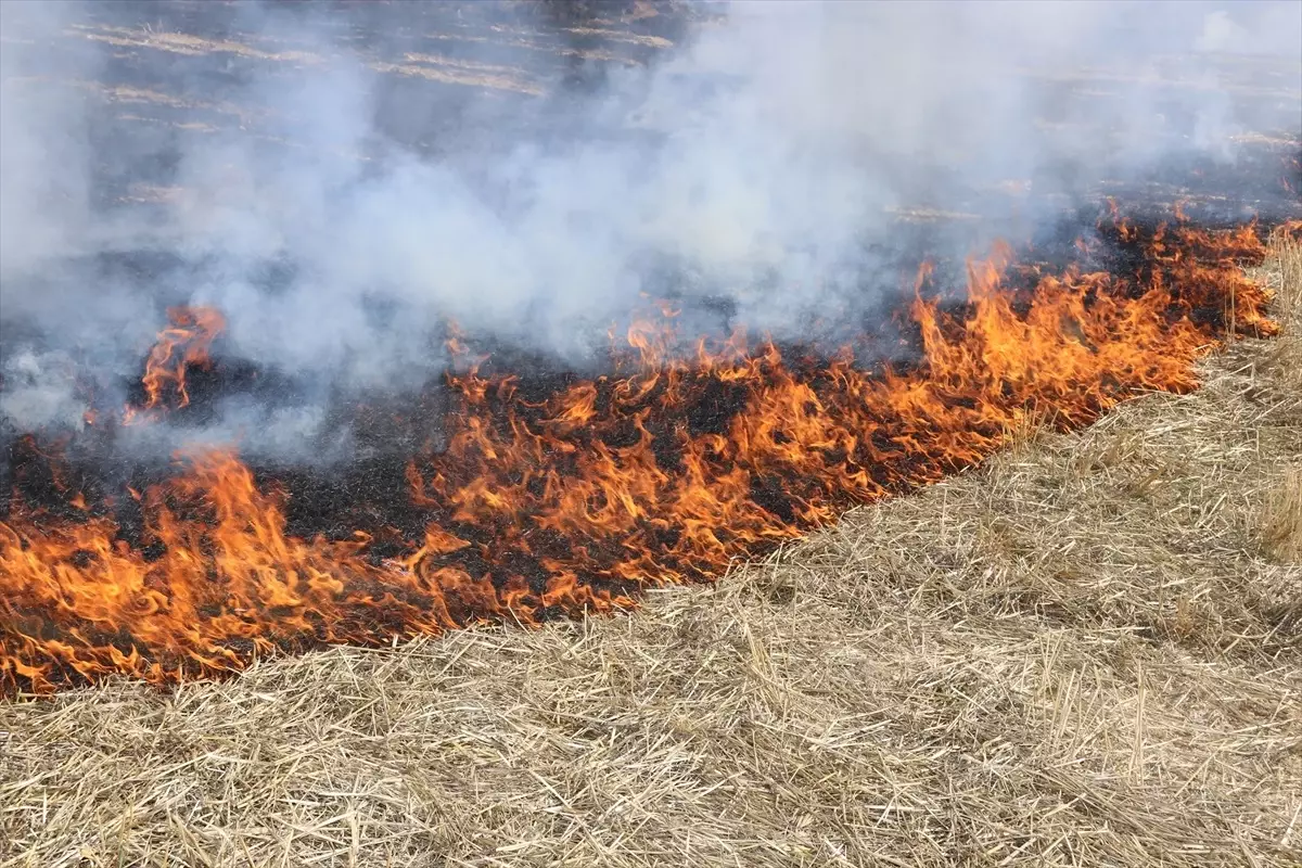 tasovada aniz yangini sonduruldu UGiJHZrw